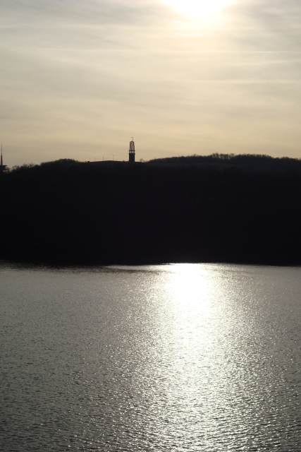 Waldsee mit Geleucht