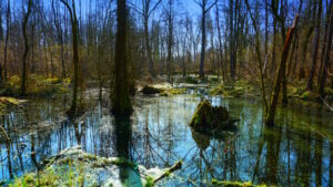 Mehr über den Artikel erfahren Tour 1375 – Waldfeucht-Haaren – Waldmärchenpfad