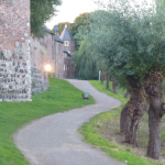 Die Stadtmauer von Zons