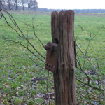 Vollpfosten