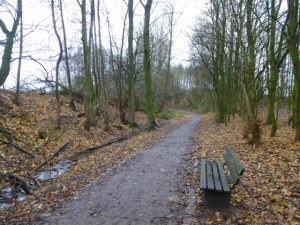 Auf dem Weg ins Hexbachtal