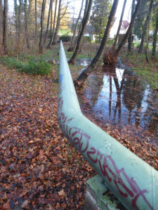 Pipeline im Wald