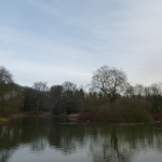 Der Schlossweiher