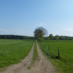 Tour 513 – Schermbeck-Malberg – Auf dem A3 in den Weseler Wald