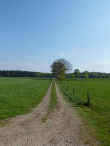 Niederrhein oder schon Müsterland