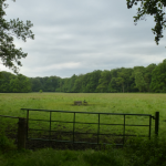 Tour 525 – Schermbeck-Malberg – Auf dem A2 durch den Weseler Wald