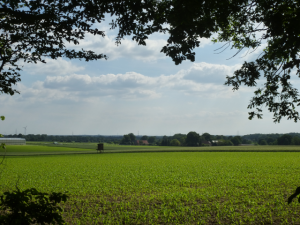 Blick auf den münsterländer Niederrhein