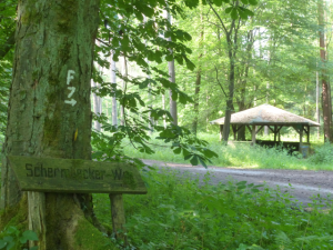 Schutzhütte im Dämmerwald