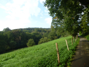 Mehr über den Artikel erfahren Tour 578 – Velbert-Langenberg – Mit dem A5 an den Rand von Langenberg