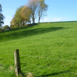 Auf der Königsetappe