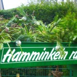 Tour 628 – Hamminkeln – Mit dem A2 durch die Allee
