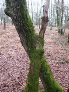 Ob hier wohl ein Schatz liegt