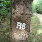 Tour 727 – Wegberg – Der A8 führt ums Schaagbachtal herum