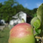 Tour 728 – Wegberg – Auf dem A7 zu Haus Wildenrath