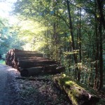 Tour 741 – Ratingen – Auf dem A9 durch das Angerbachtal