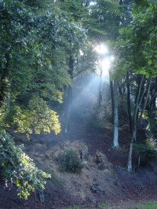 Lichtspiele der besonderen Art