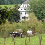 Tour 756 – Neanderlandsteig 10/17 – Von Ratingen-Homberg nach Erkrath