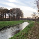 Tour 781 – Hamminkeln – Auf dem A1 durch die Allee an die Issel