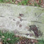 Tour 785 – Schermbeck – Auf dem Ameisenpfad