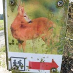 Tour 803 – Niederkrüchten – Durch das Naturerlebnisgebiet Elmpter Schwalmbruch