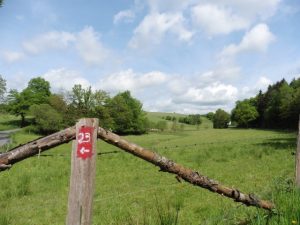 Der Waldmythenweg