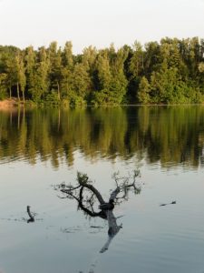 Mehr über den Artikel erfahren Tour 826 – Hilden – Kurz mal um den Menzelsee