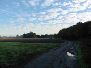 Auf dem Residenzweg in der Bockerter Heide