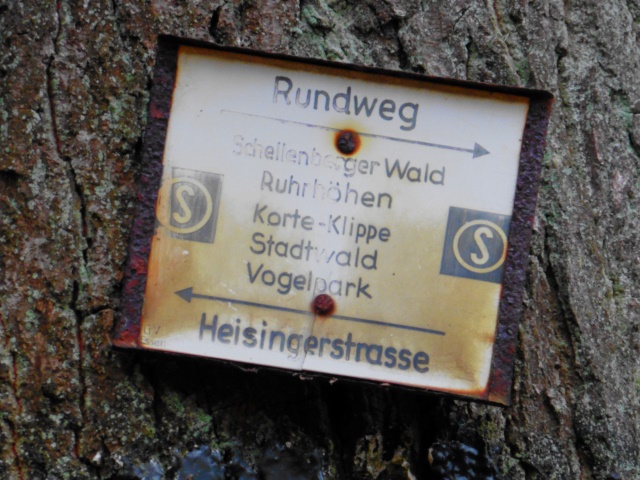 Rundweg im Schellenberger Wald