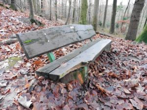 Bank im Heissiwald