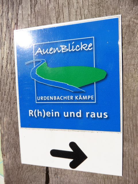 Urdenbacher Kämpe