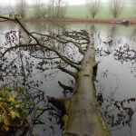 Tour 909 – Düsseldorf – Der D-Weg – Etappe 4/6