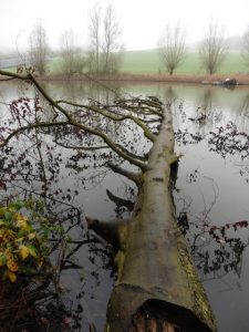 Wandern in Düsseldorf. Der D-Weg