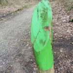 Tour 927 – Niederlande – Wellerlooi – Die grüne Route
