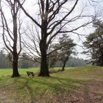 Tour 932 – Niederlande – America – Auf der grünen Route in die Schadijkse Heide