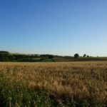 Tour 948 – Heiligenhaus – Auf dem A8 um den Nonnenbruch