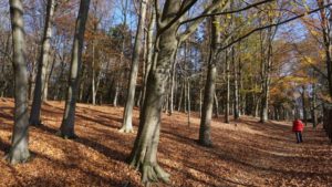 Mehr über den Artikel erfahren Tour 970 – Krefeld – Cross auf dem Hülser Berg