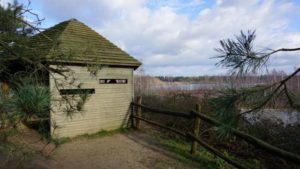 Vogelbeobachtungshütte am Reindersmeer