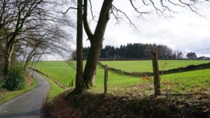 Blick zum alten Kohlenweg