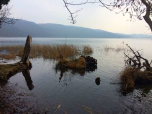 Blick auf die Caldera - dem Laacher See