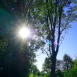 Tour 1002 – Monheim – Auenblicke – Au(g)en-Weide