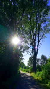 Mehr über den Artikel erfahren Tour 1002 – Monheim – Auenblicke – Au(g)en-Weide