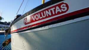 Mehr über den Artikel erfahren Tour 1010 – Monheim – Auenblicke – Rhein-Dschungel