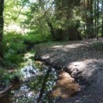 Tour 1017 – Wegberg-Wildenrath – Traumweg Wildes Schaagbachtal