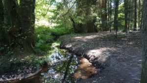 Mehr über den Artikel erfahren Tour 1017 – Wegberg-Wildenrath – Traumweg Wildes Schaagbachtal