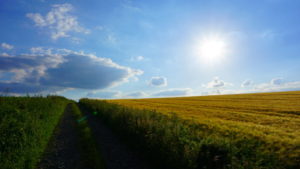 Mehr über den Artikel erfahren Tour 1026 – Breckerfeld – Auf dem A8 nördlich von Breckerfeld