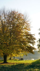 Mehr über den Artikel erfahren Tour 1029 – Borken – Auf dem A3 den Pröbstingsee umwandern