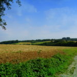 Tour 1036 – Ratingen – Rund um Ratingen – Etappe 3 von 3
