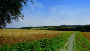 Mehr über den Artikel erfahren Tour 1036 – Ratingen – Rund um Ratingen – Etappe 3 von 3