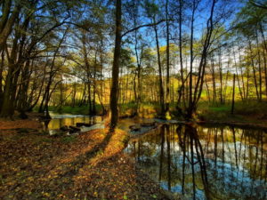 Mehr über den Artikel erfahren Tour 1038 – Odenthal-Schöllerhof –  Die Schwarzpulverroute