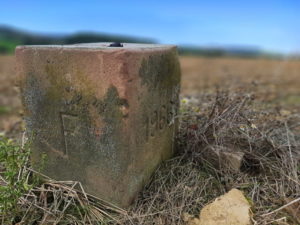 Mehr über den Artikel erfahren Tour 1047 – Hornbach – Paradiesgartenweg